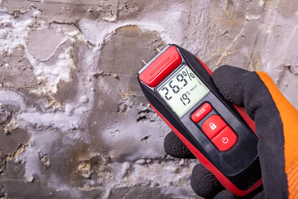 Best Toxic Mold Removal  in Desert Hills, AZ