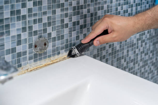 Best Local Mold Removal Service  in Desert Hills, AZ