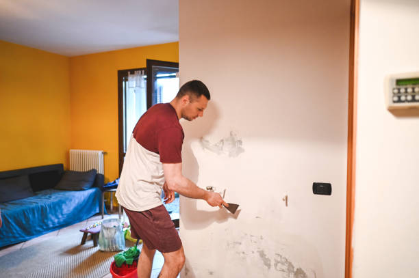 Certified Mold Removal in Desert Hills, AZ